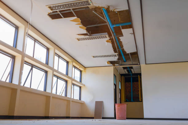 Best Water damage restoration cost  in Reed Creek, GA
