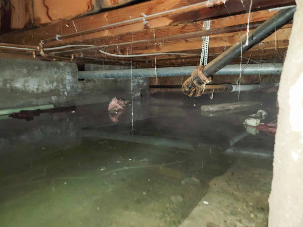Best Ceiling water damage repair  in Reed Creek, GA
