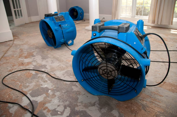 Best Sewage cleanup and water damage restoration  in Reed Creek, GA