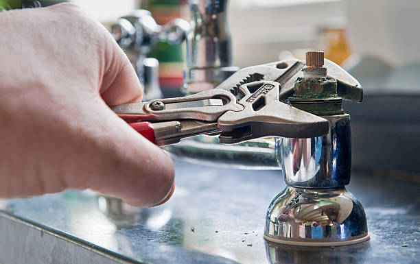 Best Mold removal after water damage  in Reed Creek, GA