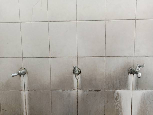 Best Flood damage cleanup  in Reed Creek, GA