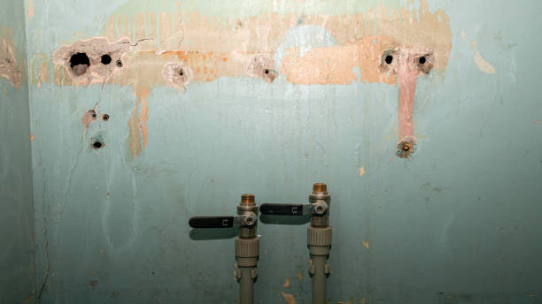 Best Fire Damage Restoration  in Reed Creek, GA
