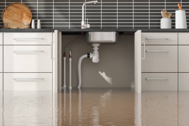 Best Water damage restoration near me  in Reed Creek, GA