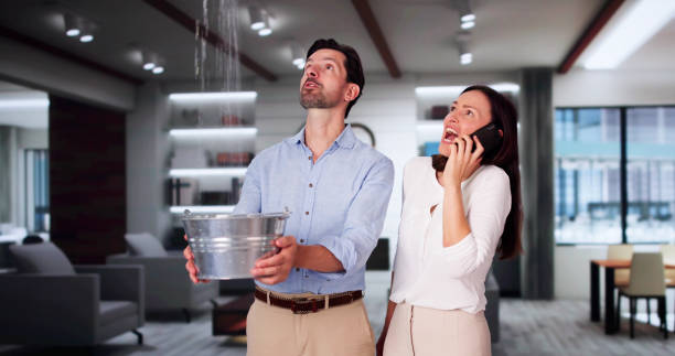 Best Sewage cleanup and water damage restoration  in Reed Creek, GA