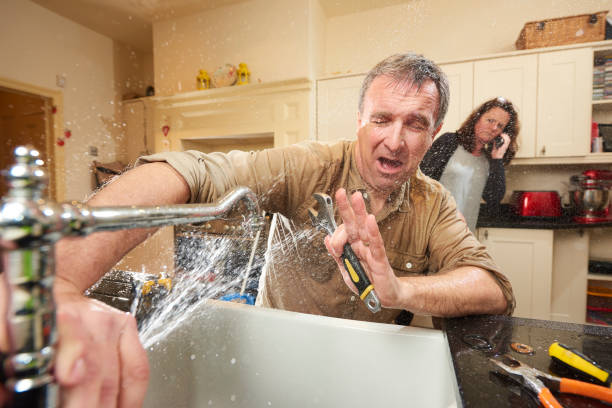Best Basement water damage restoration  in Reed Creek, GA